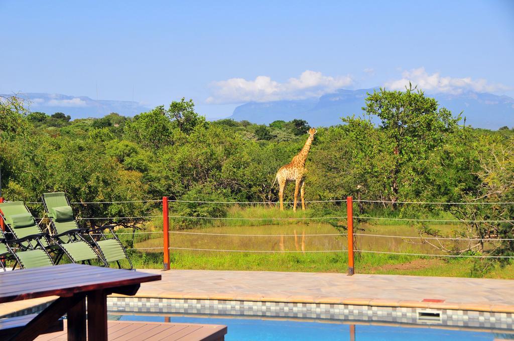 Cheetah Paw Eco Lodge Guernsey Nature Reserve Bagian luar foto