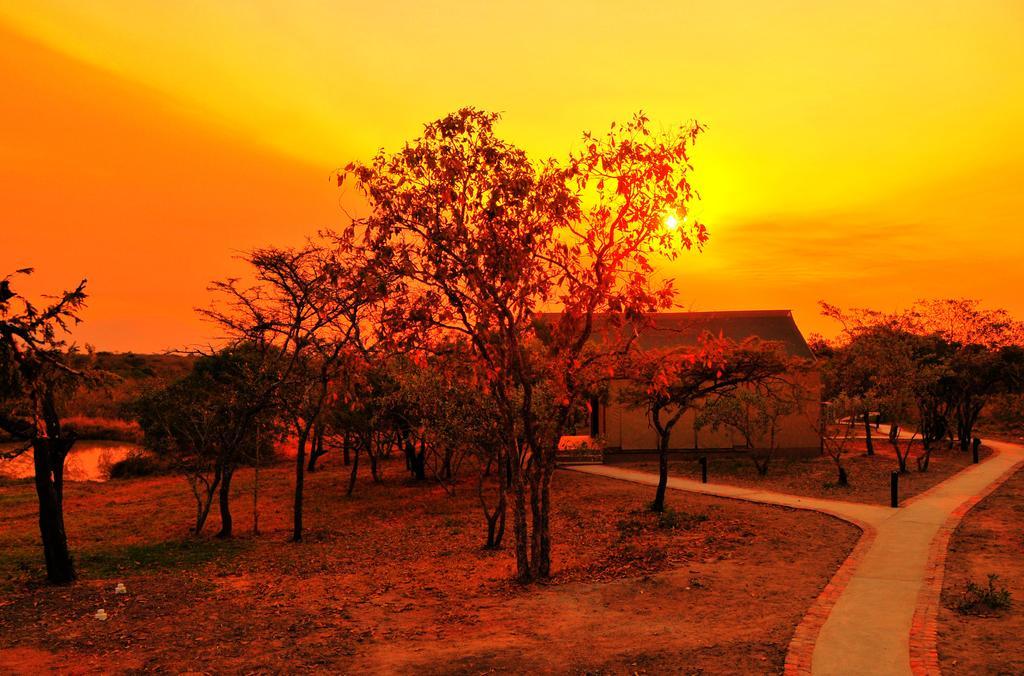 Cheetah Paw Eco Lodge Guernsey Nature Reserve Bagian luar foto