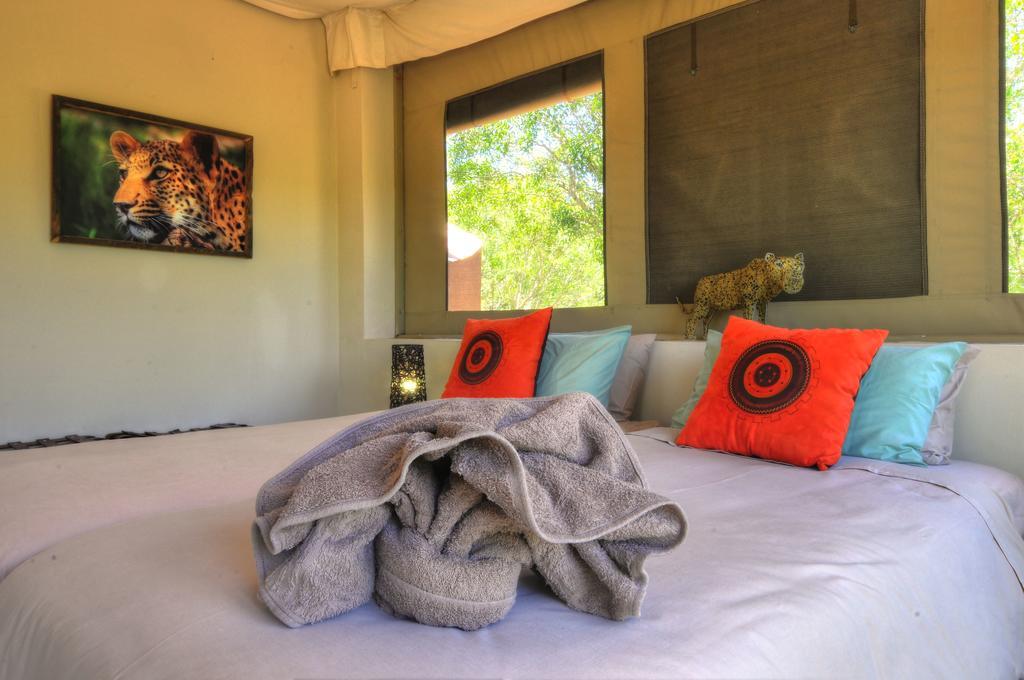 Cheetah Paw Eco Lodge Guernsey Nature Reserve Bagian luar foto